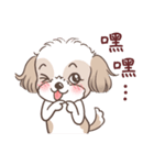 King ＆ Bow 2 (Lovely Shih Tzu)（個別スタンプ：24）