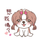 King ＆ Bow 2 (Lovely Shih Tzu)（個別スタンプ：31）