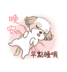 King ＆ Bow 2 (Lovely Shih Tzu)（個別スタンプ：33）