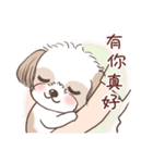 King ＆ Bow 2 (Lovely Shih Tzu)（個別スタンプ：34）