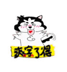 Mao dog's life term（個別スタンプ：1）