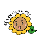 ひまわり先生！ハイ！（個別スタンプ：25）