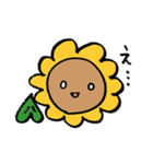 ひまわり先生！ハイ！（個別スタンプ：35）