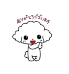 ふわふわプードルちゃん アプリとホワイト（個別スタンプ：2）