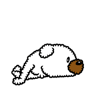 Toy poodle Neriko 2（個別スタンプ：7）