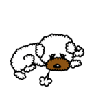 Toy poodle Neriko 2（個別スタンプ：17）