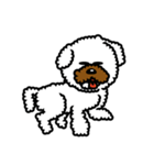 Toy poodle Neriko 2（個別スタンプ：20）