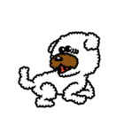 Toy poodle Neriko 2（個別スタンプ：21）