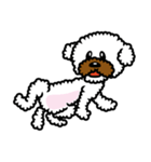 Toy poodle Neriko 2（個別スタンプ：27）