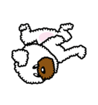Toy poodle Neriko 2（個別スタンプ：28）