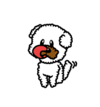Toy poodle Neriko 2（個別スタンプ：31）