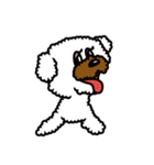 Toy poodle Neriko 2（個別スタンプ：33）