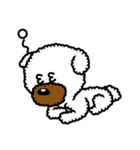 Toy poodle Neriko 2（個別スタンプ：34）