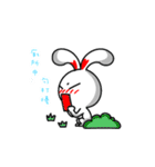 Easy Bunny（個別スタンプ：31）