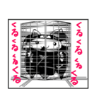 にゃん国のゆかいにゃ仲間たち パート2（個別スタンプ：13）