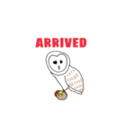 Dance with owl（個別スタンプ：31）