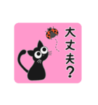 やんちゃなネコ by マサユミ（個別スタンプ：25）