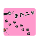 やんちゃなネコ by マサユミ（個別スタンプ：40）