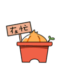 Onion boy-What the onion！！（個別スタンプ：28）