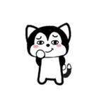 wow wow Huskies（個別スタンプ：15）