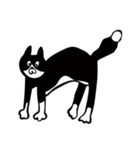 Three Crazy Cats（個別スタンプ：7）