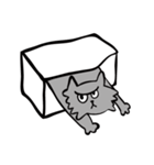 Three Crazy Cats（個別スタンプ：12）