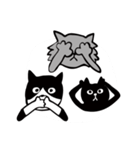 Three Crazy Cats（個別スタンプ：35）
