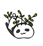 バラエティパンダ（個別スタンプ：19）