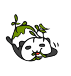 バラエティパンダ（個別スタンプ：20）
