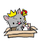 Cat in a box. Cat in a Fort. I（個別スタンプ：11）