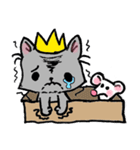 Cat in a box. Cat in a Fort. I（個別スタンプ：12）