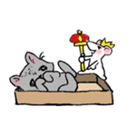 Cat in a box. Cat in a Fort. I（個別スタンプ：22）