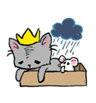 Cat in a box. Cat in a Fort. I（個別スタンプ：23）