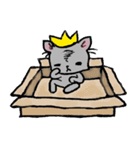 Cat in a box. Cat in a Fort. I（個別スタンプ：26）