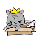 Cat in a box. Cat in a Fort. I（個別スタンプ：37）