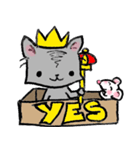 Cat in a box. Cat in a Fort. I（個別スタンプ：40）