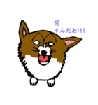 コーギー大好き3（個別スタンプ：3）