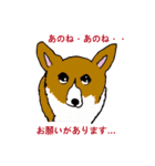 コーギー大好き3（個別スタンプ：5）