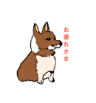 コーギー大好き3（個別スタンプ：11）