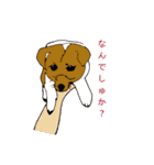 コーギー大好き3（個別スタンプ：12）
