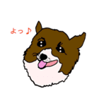 コーギー大好き3（個別スタンプ：13）