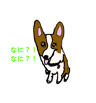 コーギー大好き3（個別スタンプ：24）