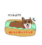 コーギー大好き3（個別スタンプ：26）