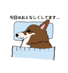 コーギー大好き3（個別スタンプ：27）
