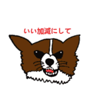コーギー大好き3（個別スタンプ：36）