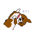 コーギー大好き3（個別スタンプ：38）