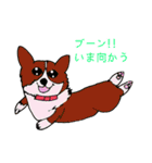 コーギー大好き3（個別スタンプ：39）