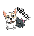 French Bulldogs, Lucky＆Lucy（個別スタンプ：2）