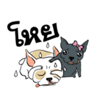 French Bulldogs, Lucky＆Lucy（個別スタンプ：5）