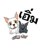 French Bulldogs, Lucky＆Lucy（個別スタンプ：9）